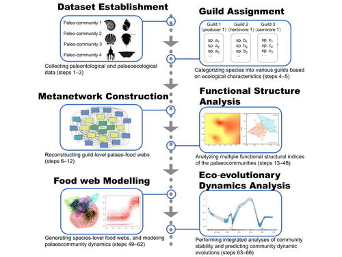 科學研究，技術先行——我校研究團隊創新研發生態模擬方法體系