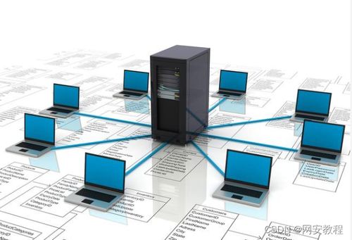 計算機網絡技術專業 聚焦軟硬件開發，解鎖熱門就業方向與廣闊前景