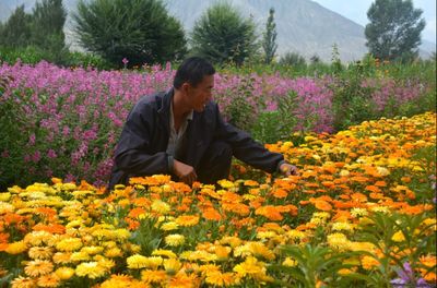 金佛寺鎮花卉種植基地 黨建引領下的豆類產業新篇章
